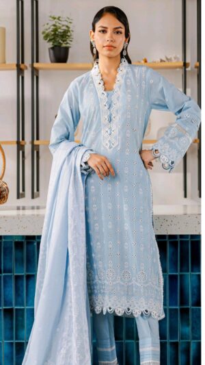 zellbury 3 pc embroidery