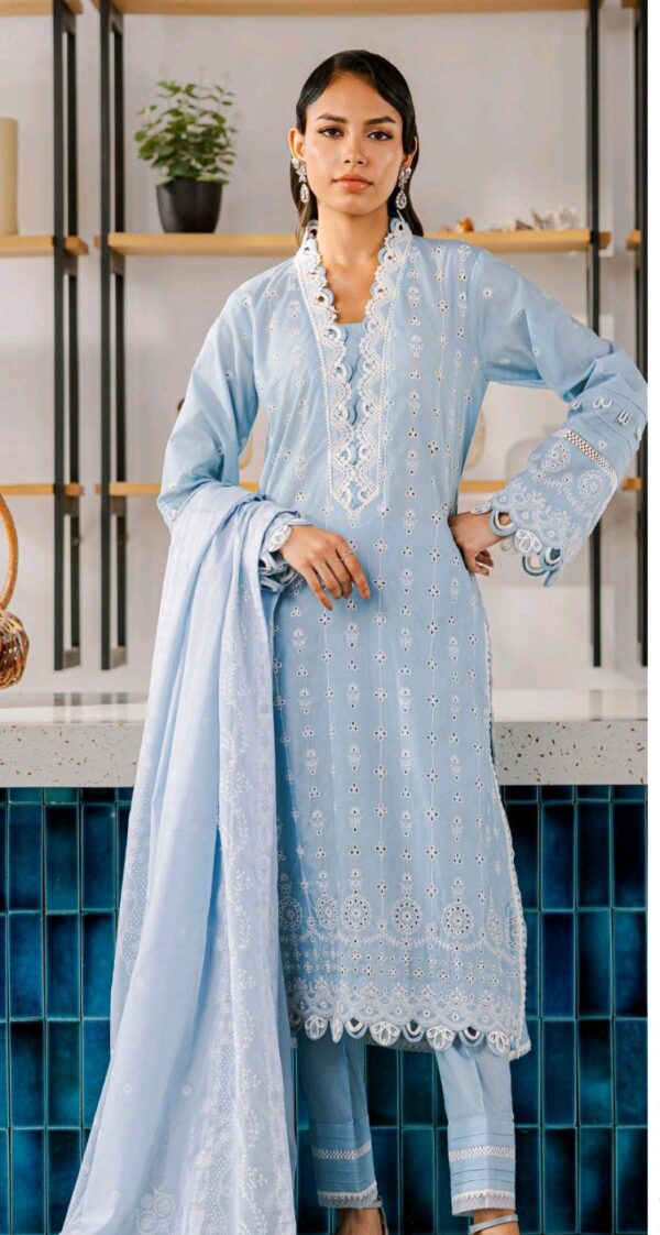 zellbury 3 pc embroidery