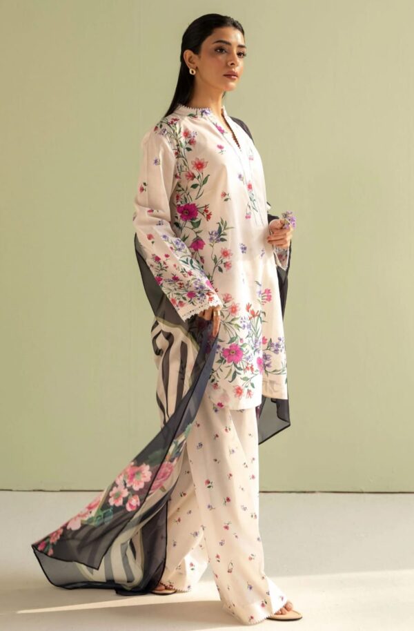 Coco Reena-4B - Image 2